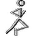 Paweł Dzięgielewski